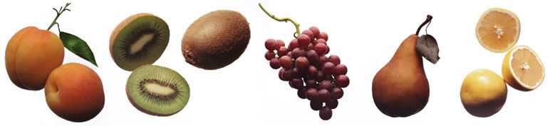 Fruit